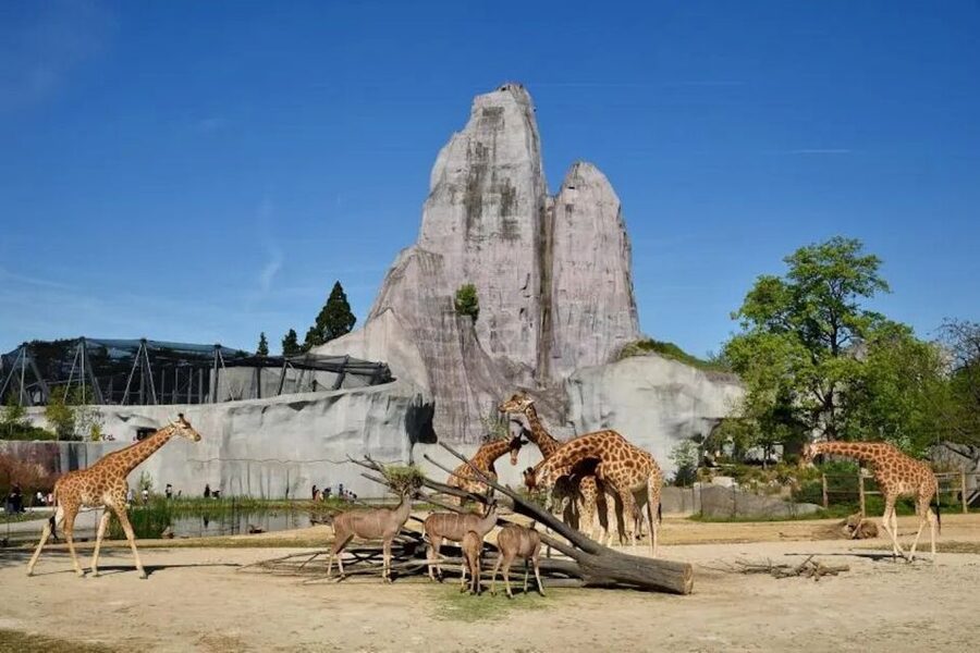 Paris: Paris Zoological Park Entrance Ticket - Entering through the separate entrance and finding your rhythm