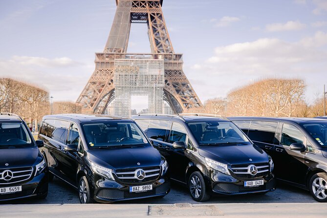 Paris Private City Tour Experience - Key things to know before you go