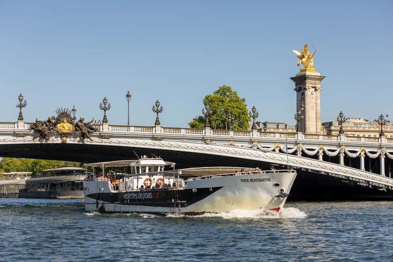 Paris: Seine River Cruise with a Live Guide - Electric Boat Comfort Tips, Seating Reality, and Weather Planning