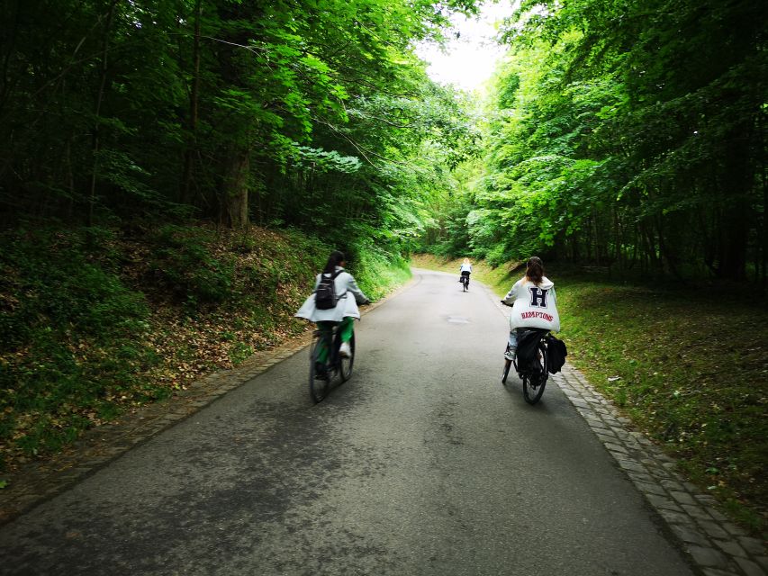 Paris: Versailles Palace and Queen Hamlet E-Bike Tour - Palace of Versailles: how the self-paced highlights work in real life