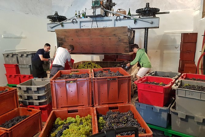 Paris Wine Day Tours exclusive Champagne tour incl. 3 visits - A full Champagne day from Paris with a small group rhythm