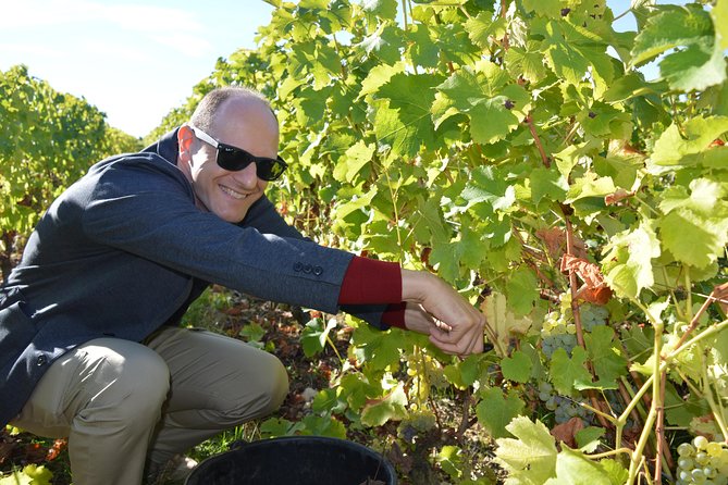 Paris Wine Day Tours exclusive Champagne tour incl. 3 visits - Epernay cellars: how Champagne is made, plus a tasting you can compare