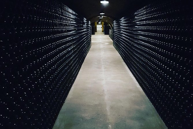 Paris Wine Day Tours exclusive Champagne tour incl. 3 visits - Guide energy, and why Brice’s touch matters on this route