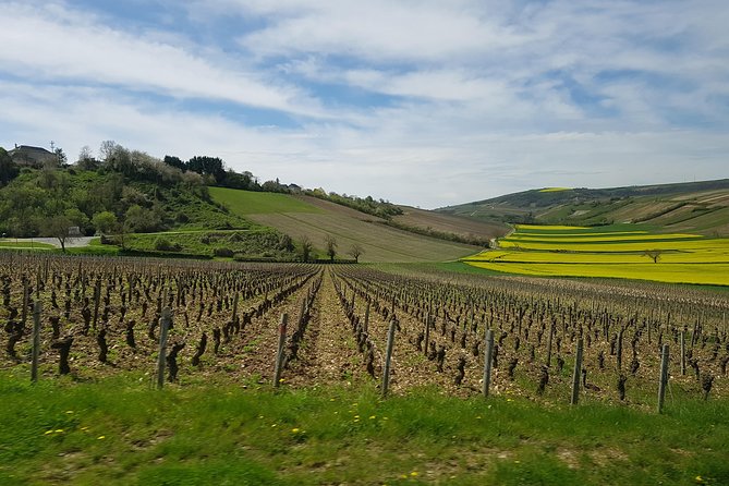 Paris Wine Day Tours exclusive wine tour in the Sancerre area - Key moments that make this tour worth your time