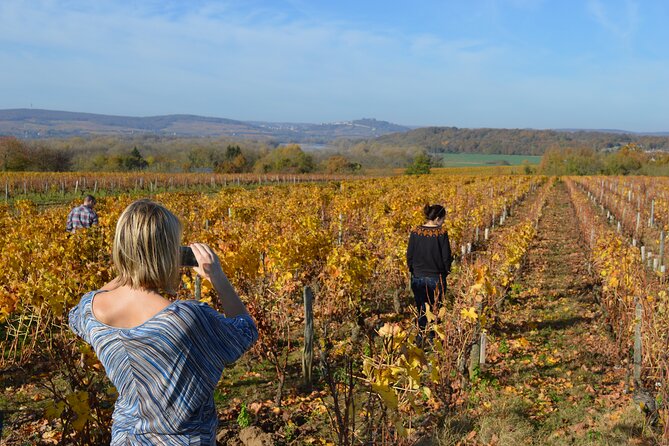 Paris Wine Day Tours exclusive wine tour in the Sancerre area - Sancerre Village, Then Two Winemakers and a Walk in the Vines
