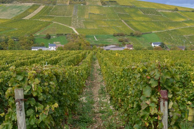 Paris Wine Day Tours exclusive wine tour in the Sancerre area - Start at Porte d’Orléans, Then Settle In for a 7:00 am Departure