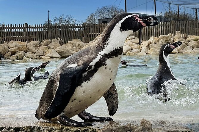 Parrot World Immersive Wildlife Park Entry Ticket next to Paris - A South America Feel Right Outside Paris