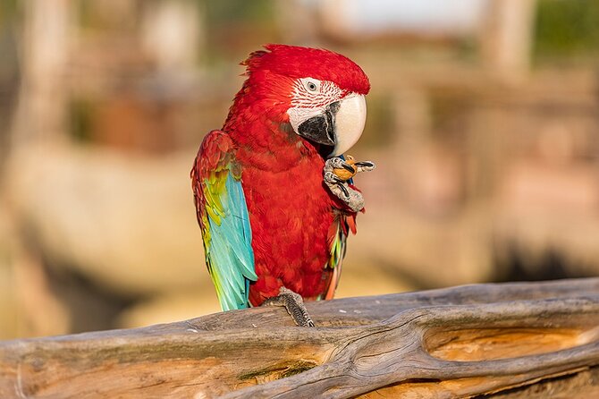 Parrot World Immersive Wildlife Park Entry Ticket next to Paris - Around 80 Species And Keeper Learning Moments