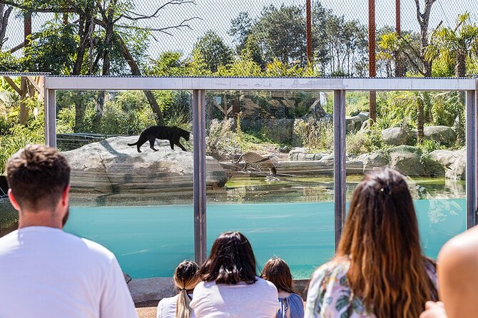 Parrot World Immersive Wildlife Park Entry Ticket next to Paris - Price Value And Timing Checks At $24.20