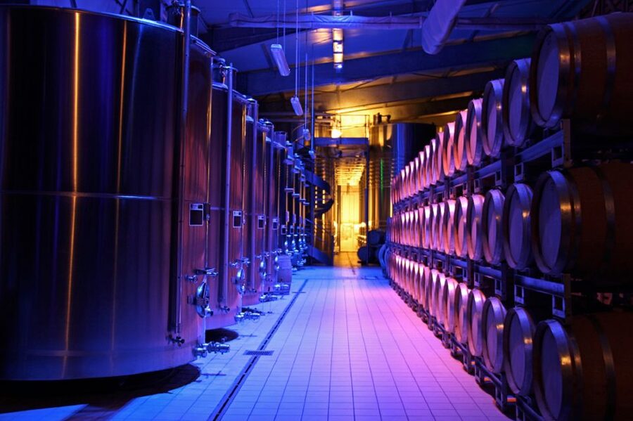 Passy-Grigny: Chocolate and Champagne Tasting Tour - Should you book the Passy-Grigny Chocolate and Champagne Tour?