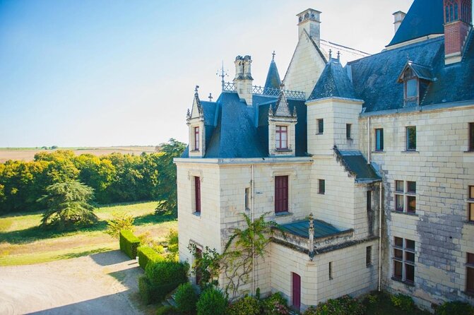 Picnic in the Vines - A Unique Loire Wine Experience - Key highlights to know before you go