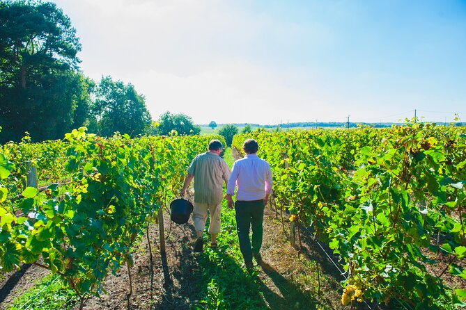 Picnic in the Vines - A Unique Loire Wine Experience - Vineyard picnic in Chinon: why this format works