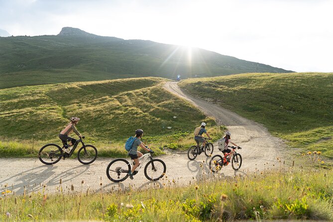 Point of view on the glaciers of Chamonix by electric mountain bike - Price and time: is $242.90 worth three hours?