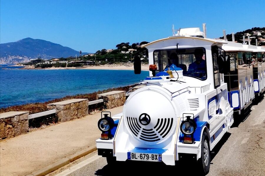 Porticcio: Coastal Train Ticket with Audio Guide & Tastings - Who this Porticcio coastal train ticket suits best