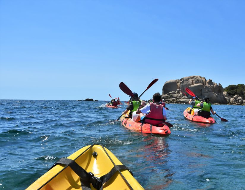 Porticcio: Guiding Kayaking Tour - Key Highlights You Should Know Before You Go