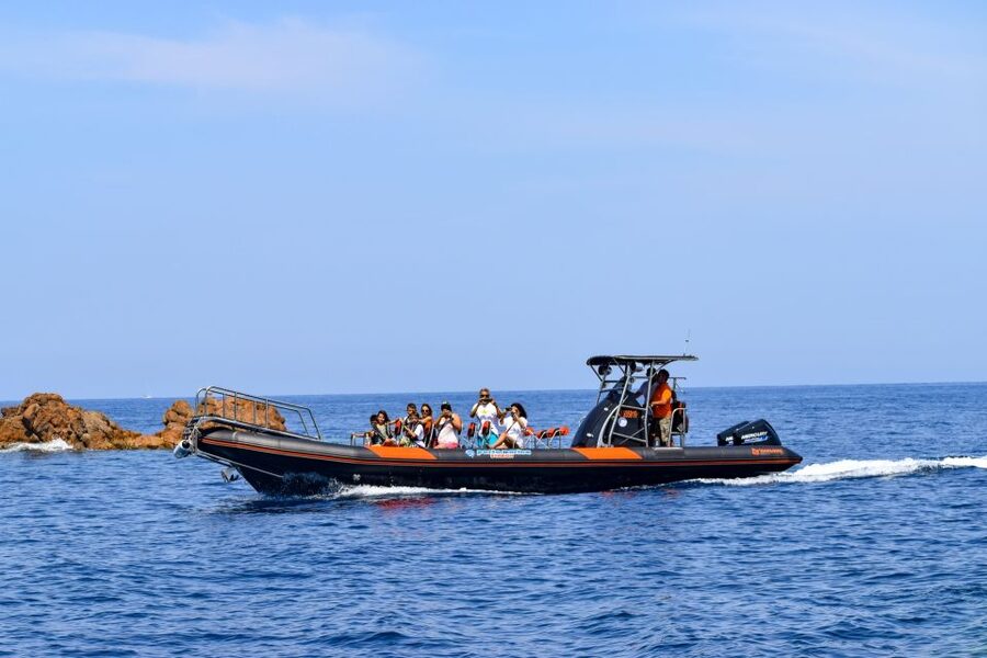 Porto: Scandola and Calanches of Piana Boat Trip - FAQ