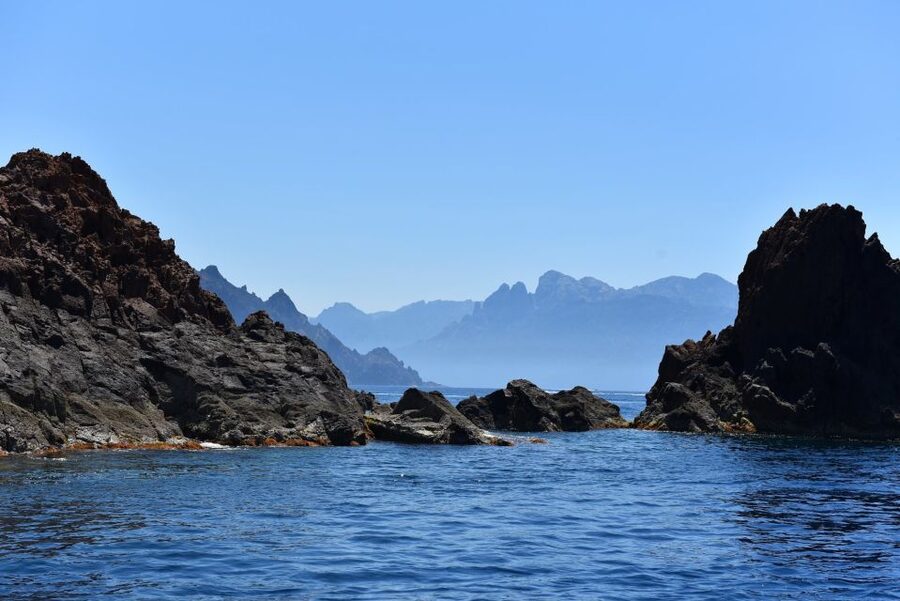 Porto: Scandola and Calanches of Piana Boat Trip - Scandola Nature Reserve: cliffs, sea bed life, and the plant details
