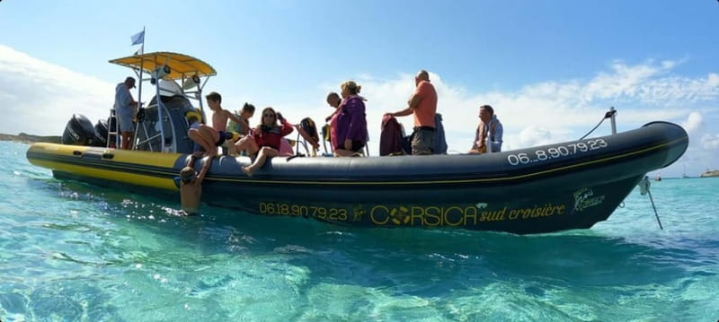 Porto-Vecchio : Discover Nature Through the Lavezzi Islands - Isles Cerbicales: the seabird show before the snorkeling