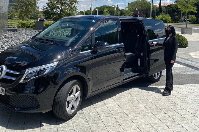 Private 4-hour city tour of Paris with driver and official guide - Louvre Museum: a fast orientation, not an entry-included visit