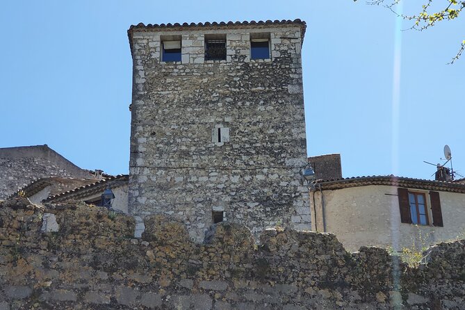 Private Customized French Riviera Tour from Port of Cannes 8H - Nice old town and the Russian Cathedral: the stop with variety