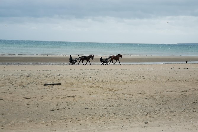 Private Day Tour including Normandy Landing Beaches & Battlefields from Bayeux - Why the Guide Makes or Breaks the Day