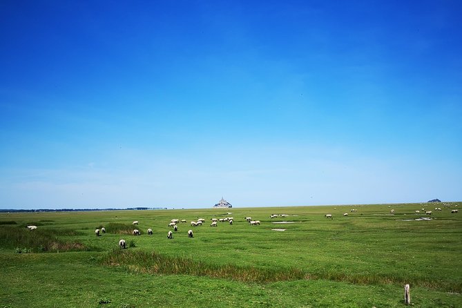 Private Day Tour of Mont Saint-Michel from Bayeux - Free Time in the Village: How to Spend It Well