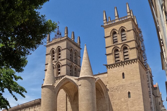 Private Discovery of Montpellier by Bike-Taxi - Jardin des Plantes and Tour des Pins: slow roll through greenery
