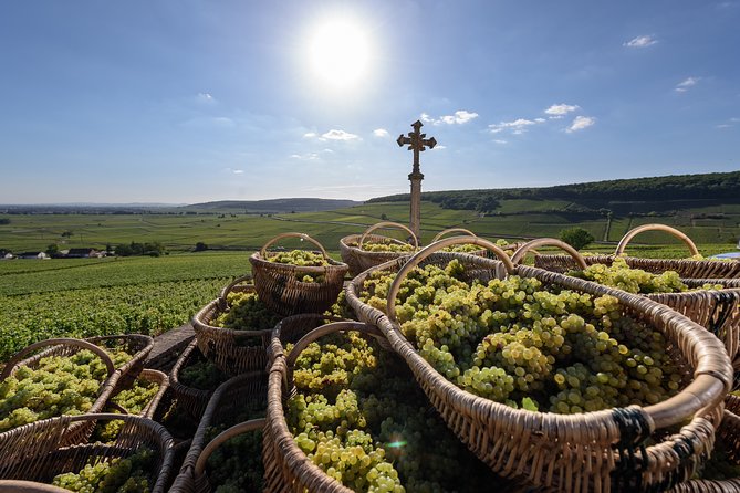 Private excursion to Côte de Beaune and Côte de Nuits (full day) - Key Highlights You Should Know