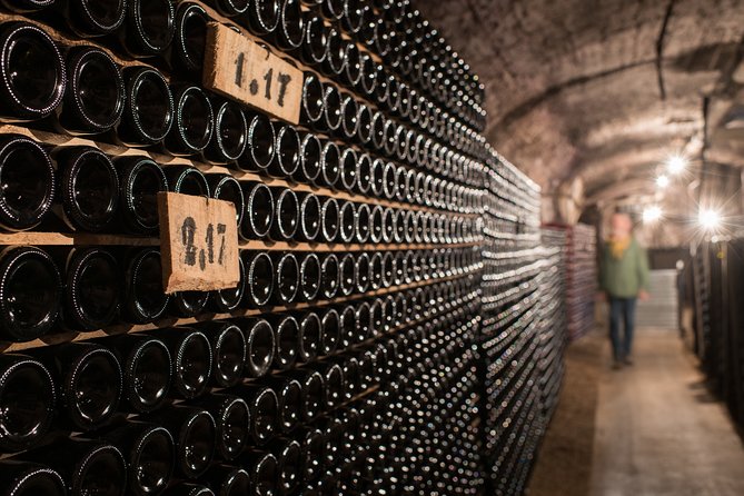 Private excursion to Côte de Beaune and Côte de Nuits (full day) - Afternoon Vineyard Walk: The Work of the Vine Through the Seasons