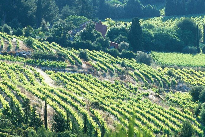 Private Full Day Wine Tour in Provence - Should you book this Provence wine tour with hotel pickup?