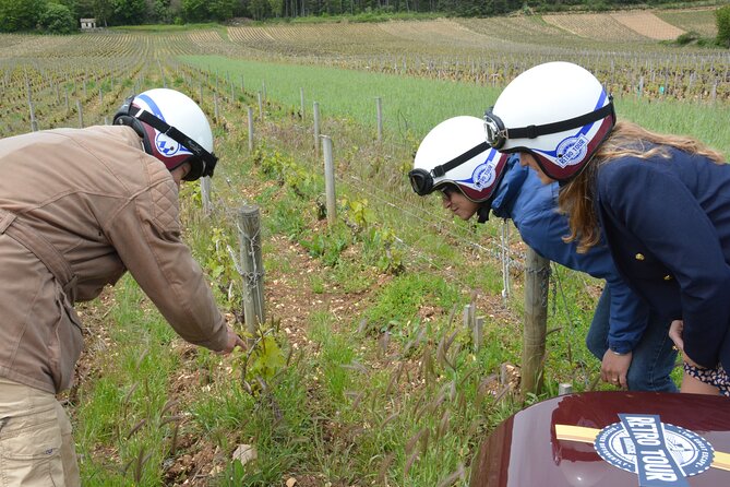 Private Guided Sidecar Tour in Burgundy from Meursault - Saint-Christophe and Puligny-Montrachet: getting your bearings toward Montrachet