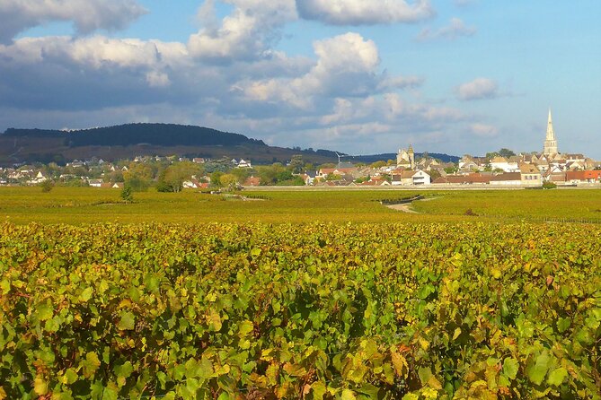 Private Guided Sidecar Tour in Burgundy from Meursault - Price and logistics, and whether it feels worth it