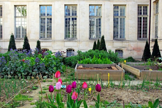 Private Half Day Historic Tour - Rue des Rosiers and the Jewish Quarter, with the Pletzl nickname