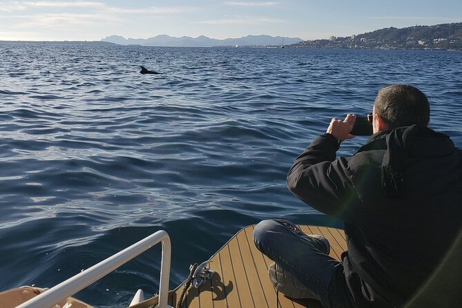 Private Solar Catamaran Cruise in Antibes Juan les Pins - Timing tips: choosing morning, afternoon, or sunset