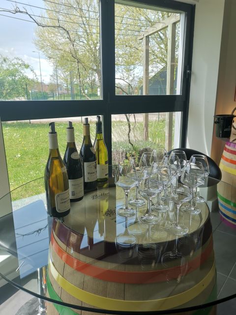 Private Tasting in Beaune : The Best of Burgundy Wines - Who this private tasting is best for