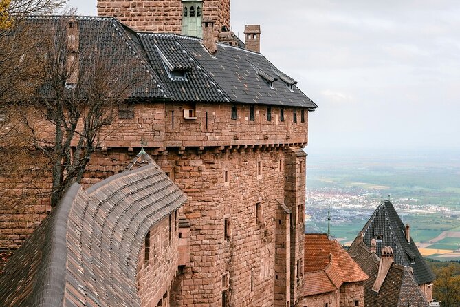 Private Tour: From Strasbourg to Colmar, Eguisheim, Riquewhir - How this Strasbourg to Alsace day actually works