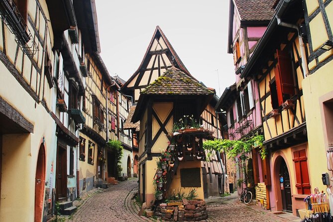 Private Tour: From Strasbourg to Colmar, Eguisheim, Riquewhir - Who this day trip fits best