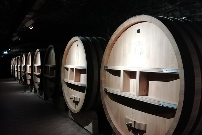 Provence Cru Wine Small-Group Half-Day Tour from Avignon - Why this half-day Provence wine route makes sense from Avignon