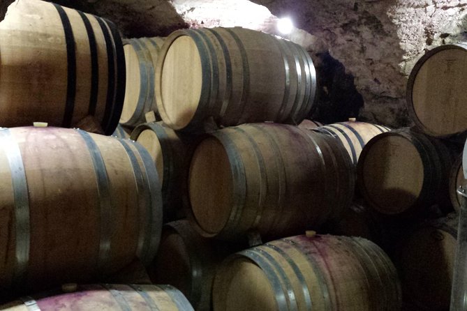 Provence Cru Wine Small-Group Half-Day Tour from Avignon - Stop 2 in Châteauneuf-du-Pape: the AOC, the soils, and why it tastes different