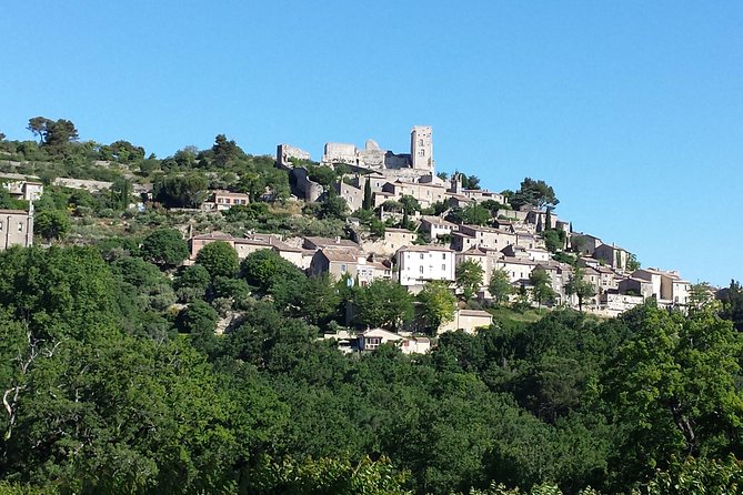 Provence Highlights Full-Day Tour from Avignon - Senanque Abbey: A 10-Minute Photo Stop Tied to Lavender Season