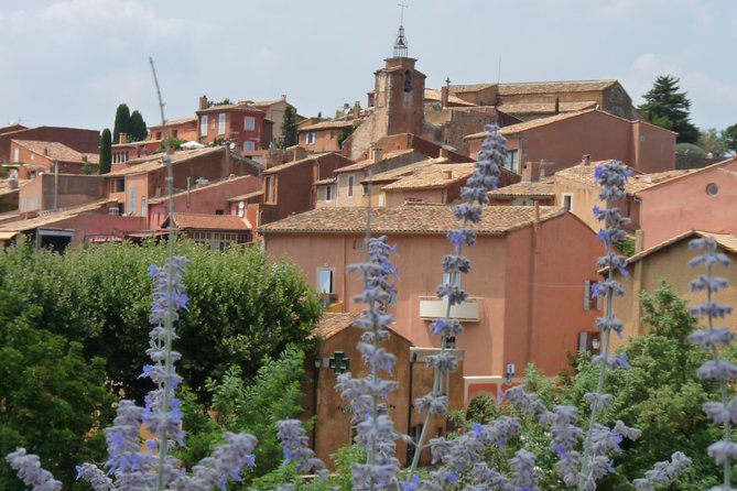 Provence in One Day Small Group Day Trip from Avignon - The Minivan Experience: Comfort, Commentary, and Motion Sickness