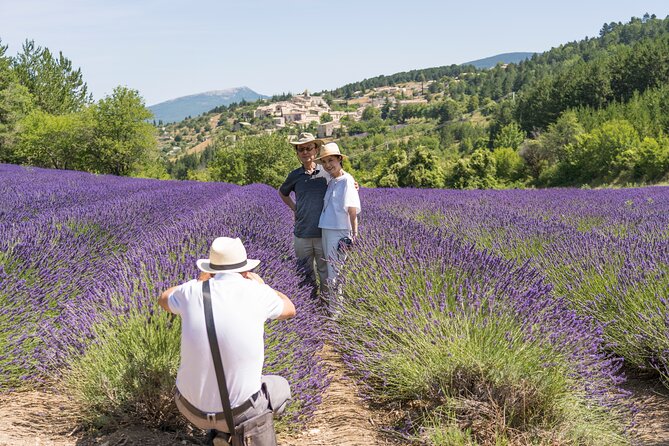 Provence Lavender Full Day Tour from Avignon - Key things I’d watch for