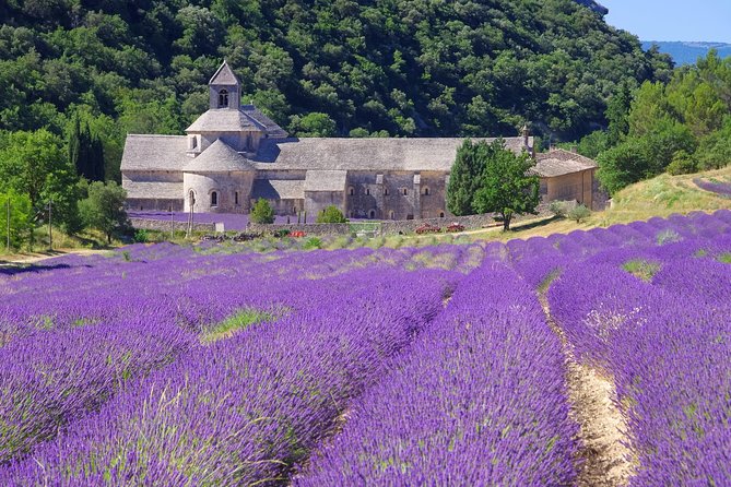 Provence Lavender Full Day Tour from Avignon - Meeting in Avignon, then Settling Into an Air-Conditioned Minivan