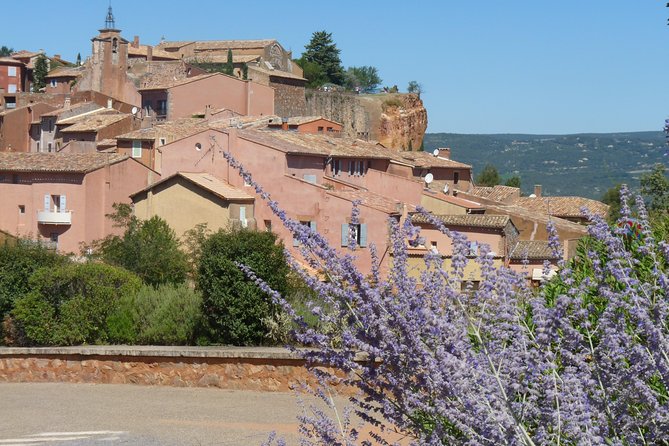 Provence Lavender Full Day Tour from Avignon - Sénanque Abbey Photo Stop in a Lavender Sea