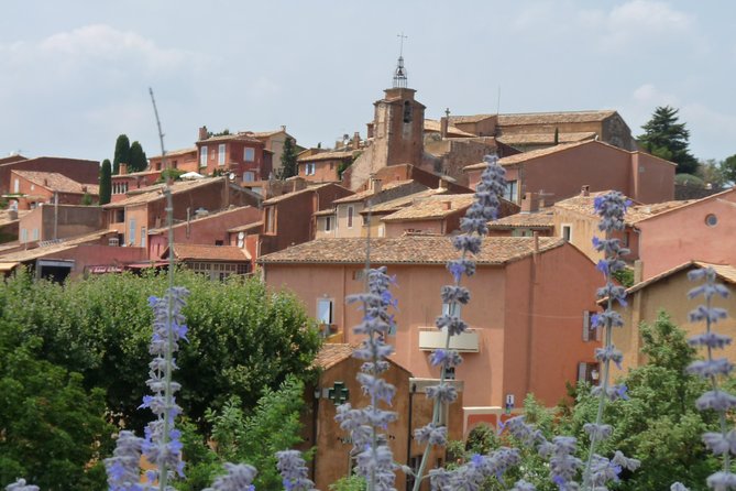 Provence Lavender Full Day Tour from Avignon - The Morning Drive, Luberon Villages, and That First Lavender Hit