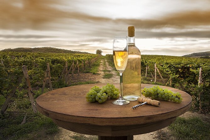 Provence Organic Wine Tasting Half Day Tour from Nice - A half-day run from Nice: what the 2:00 pm schedule really means
