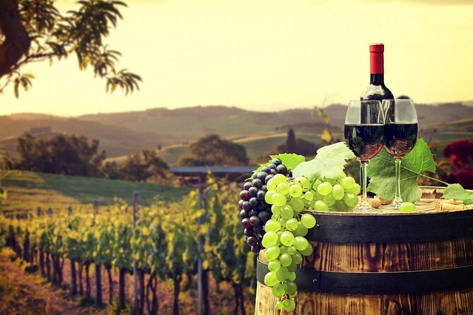 Provence Organic Wine Tasting Half Day Tour from Nice - Learning what you taste: varietals, production, and how to pay attention