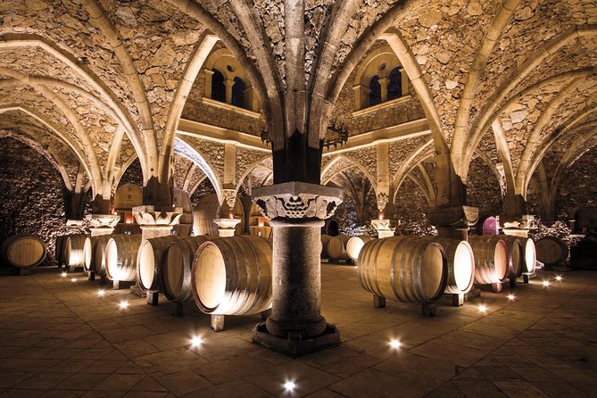Provence Wine Tour - Private Day Tour from Nice - Hotel Pickup, Air-Conditioned Comfort, and How the Day Starts