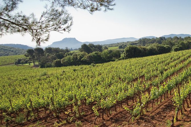 Provence Wine Tour - Private Day Tour from Nice - The Tasting Portion: How 15 Wines Teaches You What You Actually Like