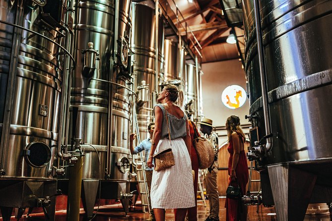 Provence Wine Tour - Private Day Tour from Nice - Lunch Options: Budget, Timing, and How to Stay in the Flow